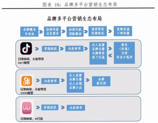 粉丝生态如何在上世纪90年代形成？