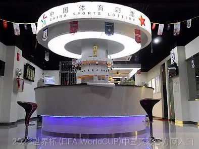 FIFA 中国平台介绍