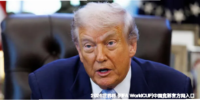 核心团队与专业资质